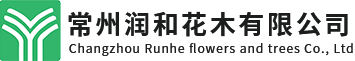 开云体育入口